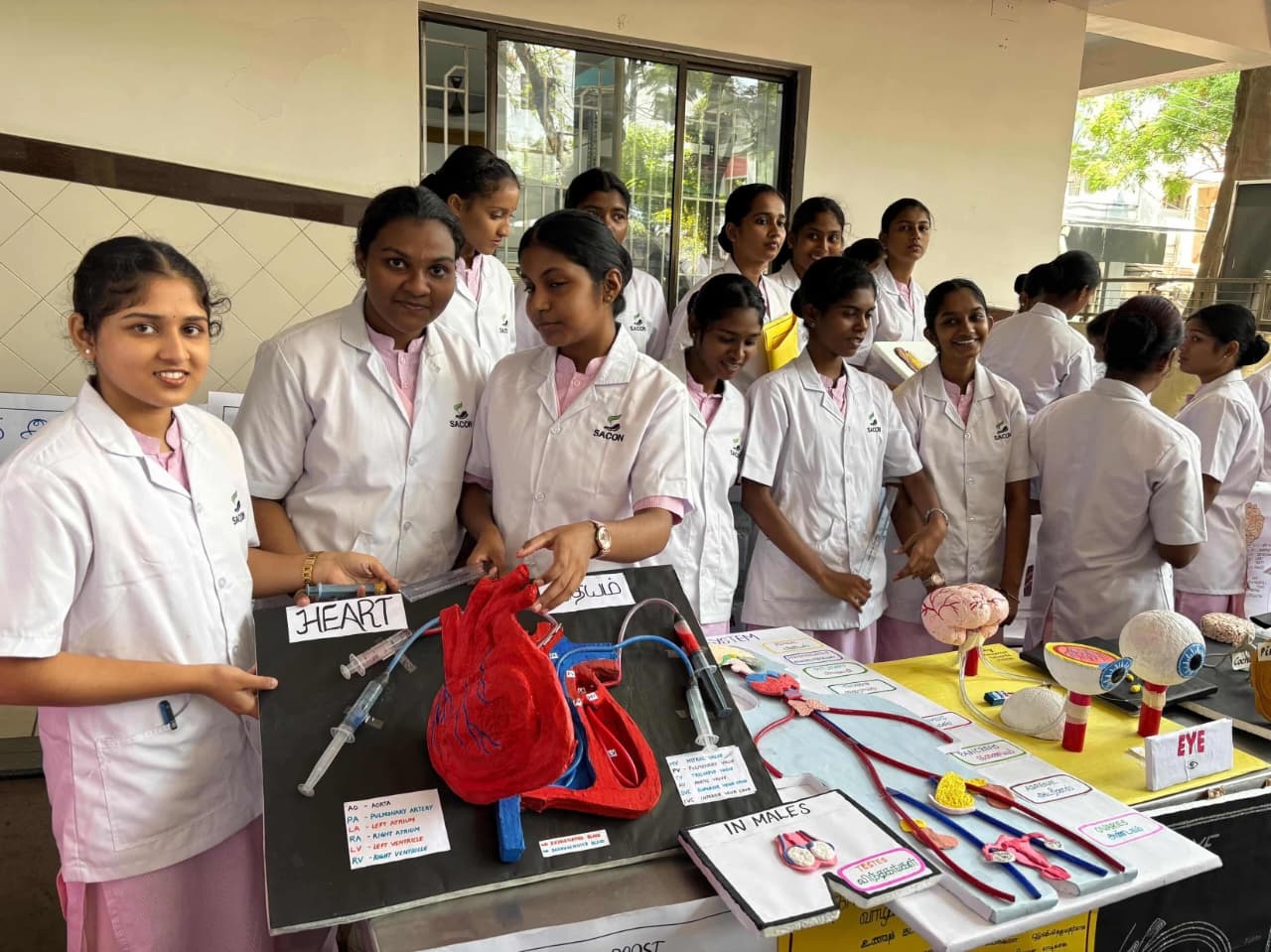 World Health Day 2026